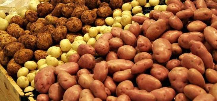 تجمع مزارعي البقاع: لتوفير اعتمادات بالدولار لشراء بذور البطاطا