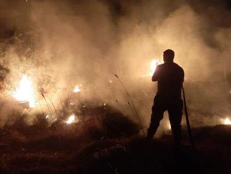 الدفاع المدني: اخماد حريق اعشاب في قب الياس وعاليه