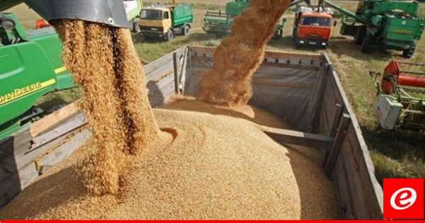 The Indian government has banned wheat exports due to a heatwave that has cut production.