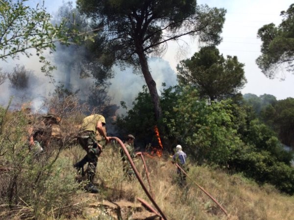 حريق في جبل الحمي بجزين التهم اشجار السرو والصنوبر البري