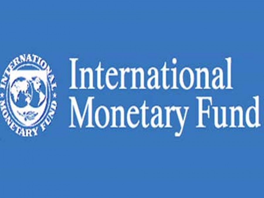 صندوق النقد الدولي السعودية