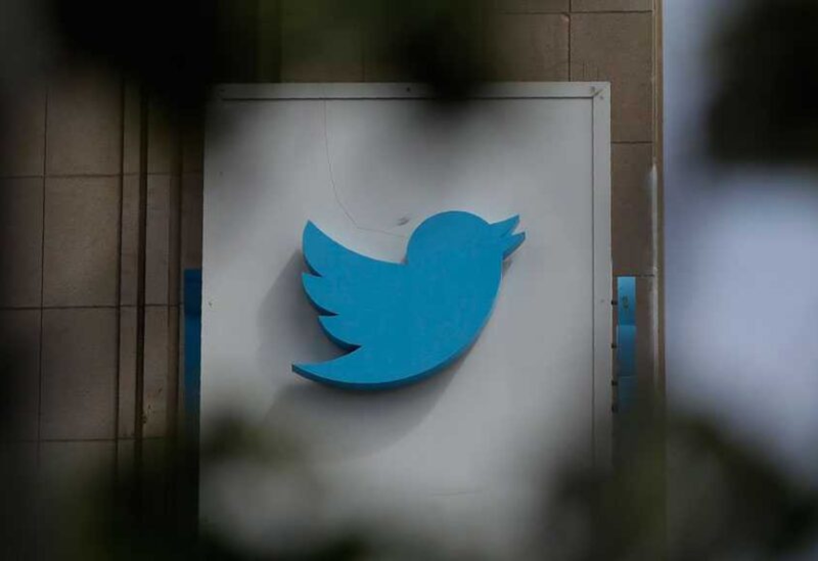 شركة تويتر أطلقت ميزة جديدة تُظهر معدل التغريد الشهري للمستخدمين
