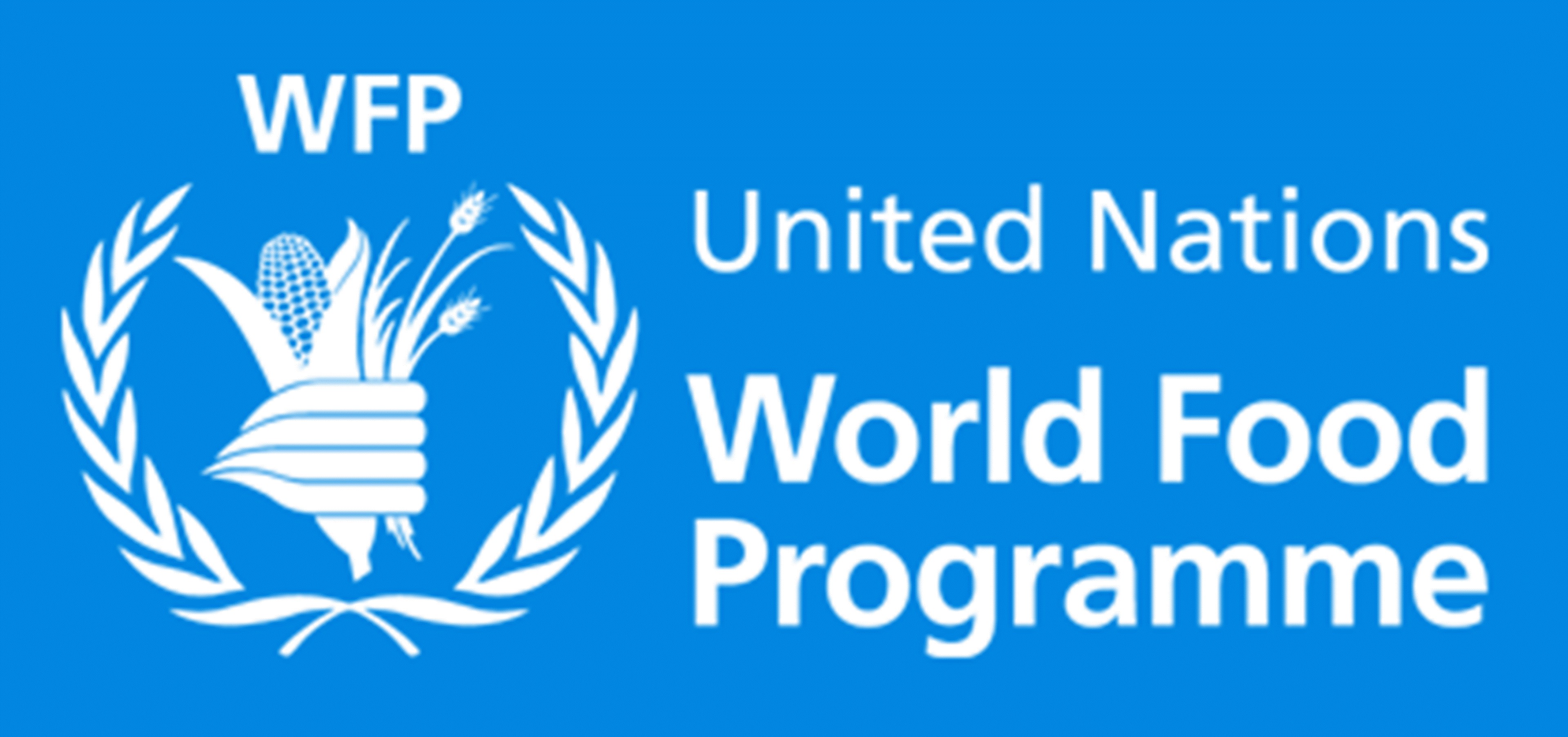 United world nation. Всемирная продовольственная программа. Мировая продовольственная программа ООН. Всемирная продовольственная программа логотип. WFP логотип.